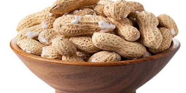 تصویر 2 از خرید و قیمت بادام زمینی نمکی با پوست + فروش صادراتی